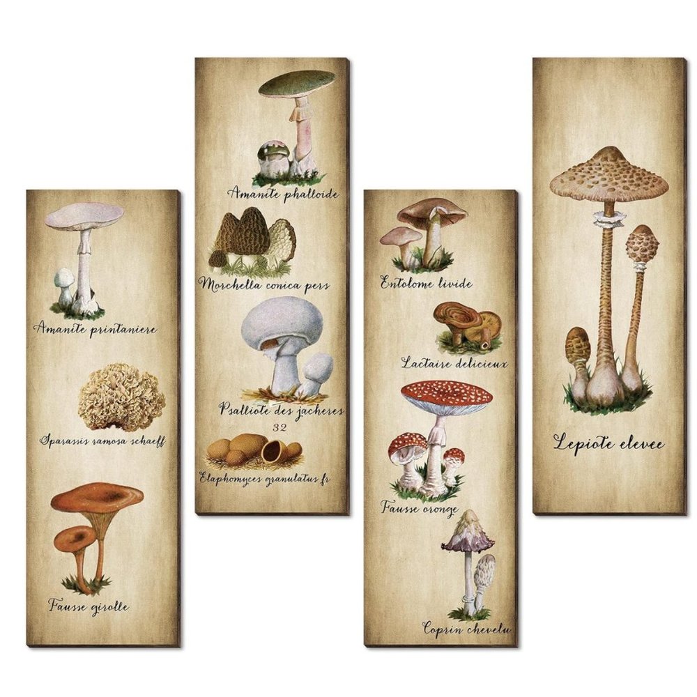 4 Pack Mushroom Wall Decor  11 x 3.5 Inch